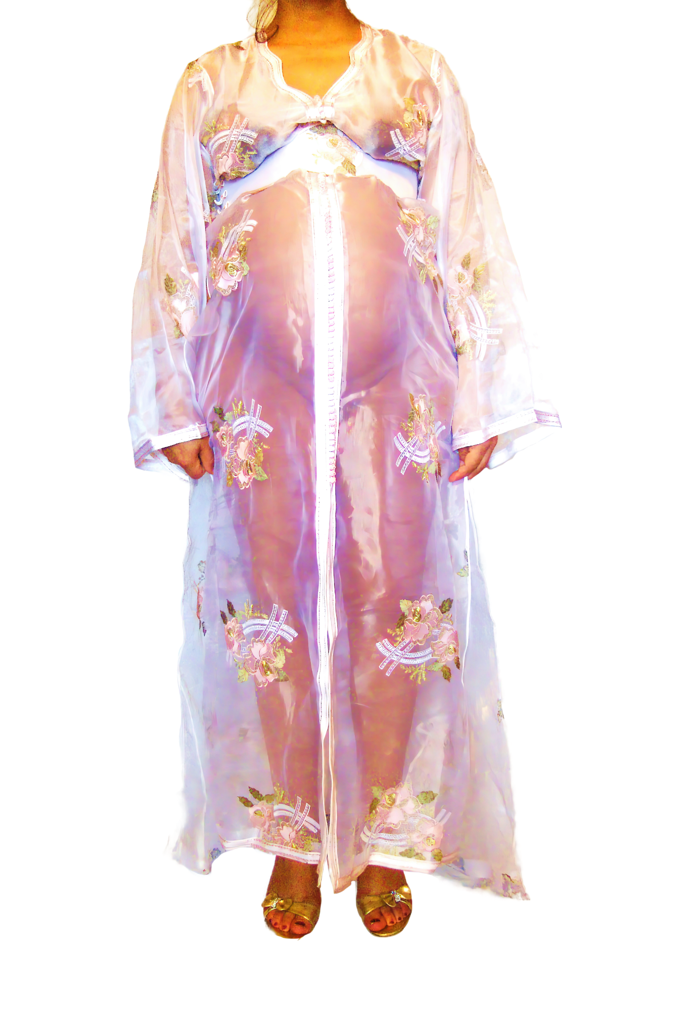 Le Corps Pansant - 2009